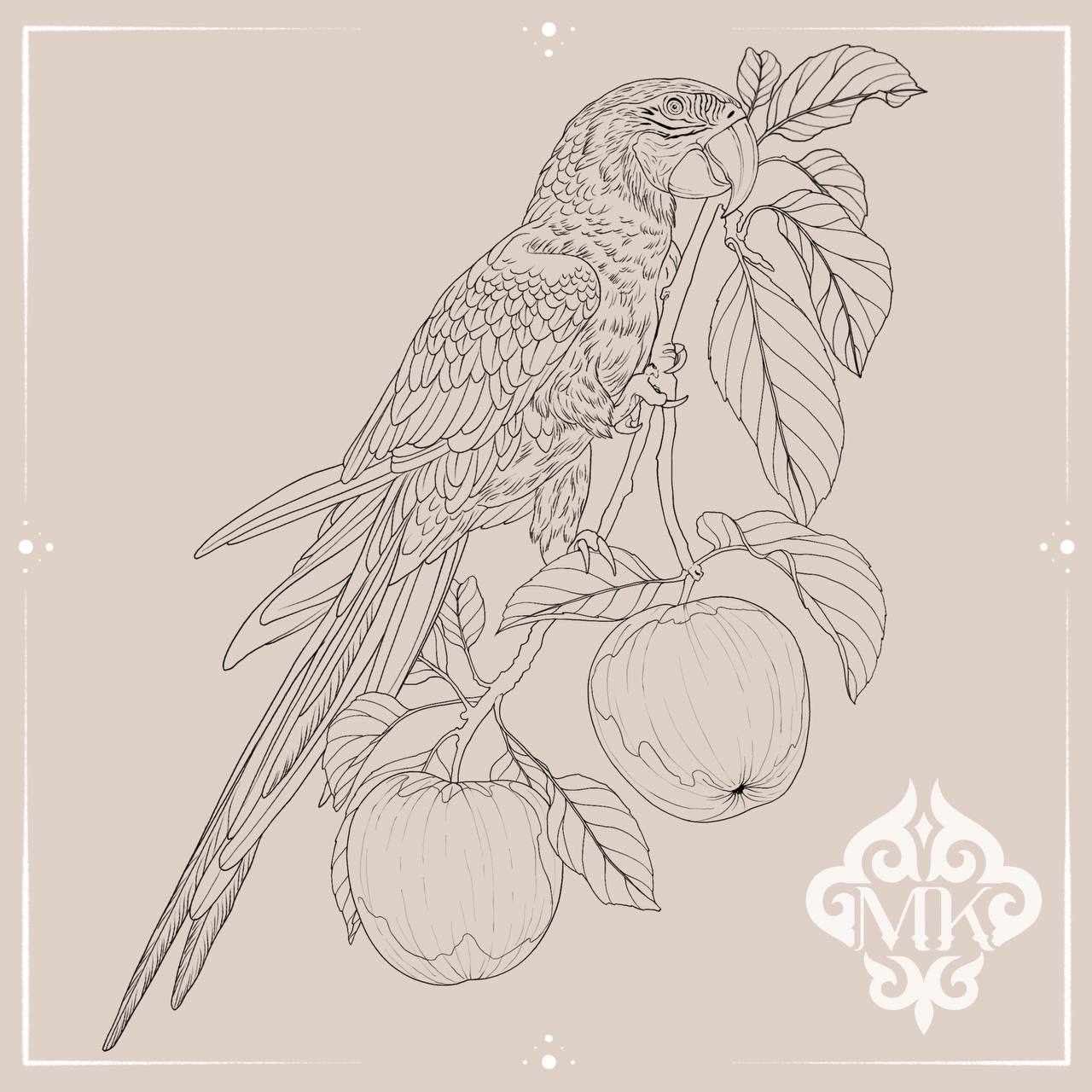 Parrot